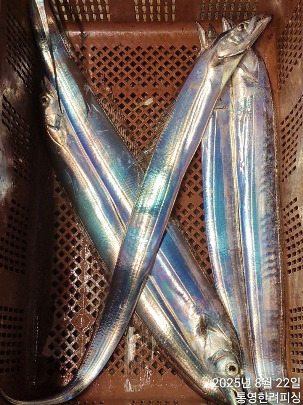 F2757682YK.jpg