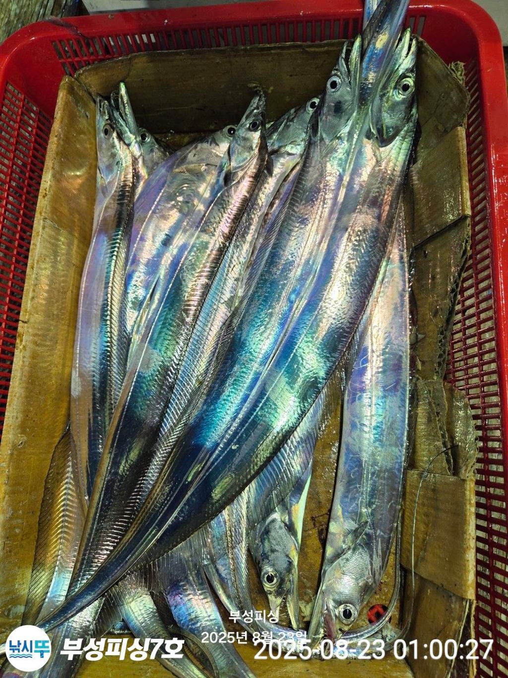 F2757722KS.jpg