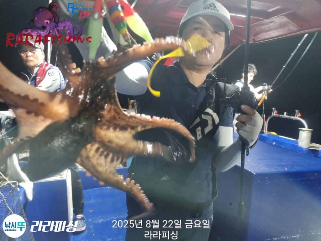 낚시뚜,돌문어,속천항(진해),라라피싱,낚시뚜9