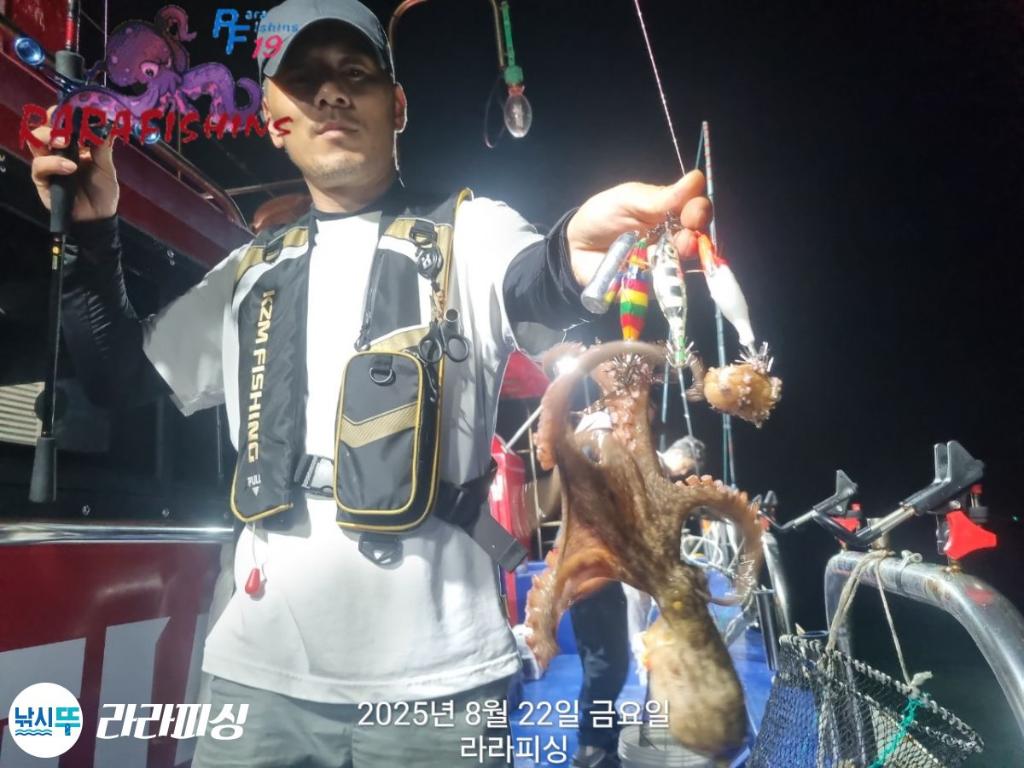 낚시뚜,돌문어,속천항(진해),라라피싱,낚시뚜3