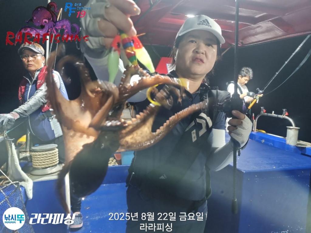 낚시뚜,돌문어,속천항(진해),라라피싱,낚시뚜2