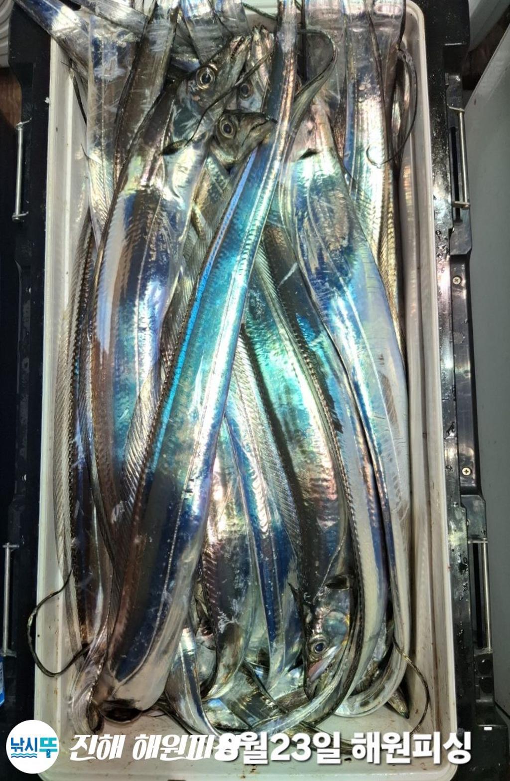 F275785305.jpg