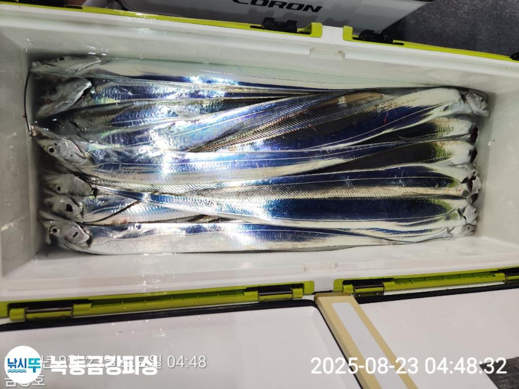 F275795770.jpg