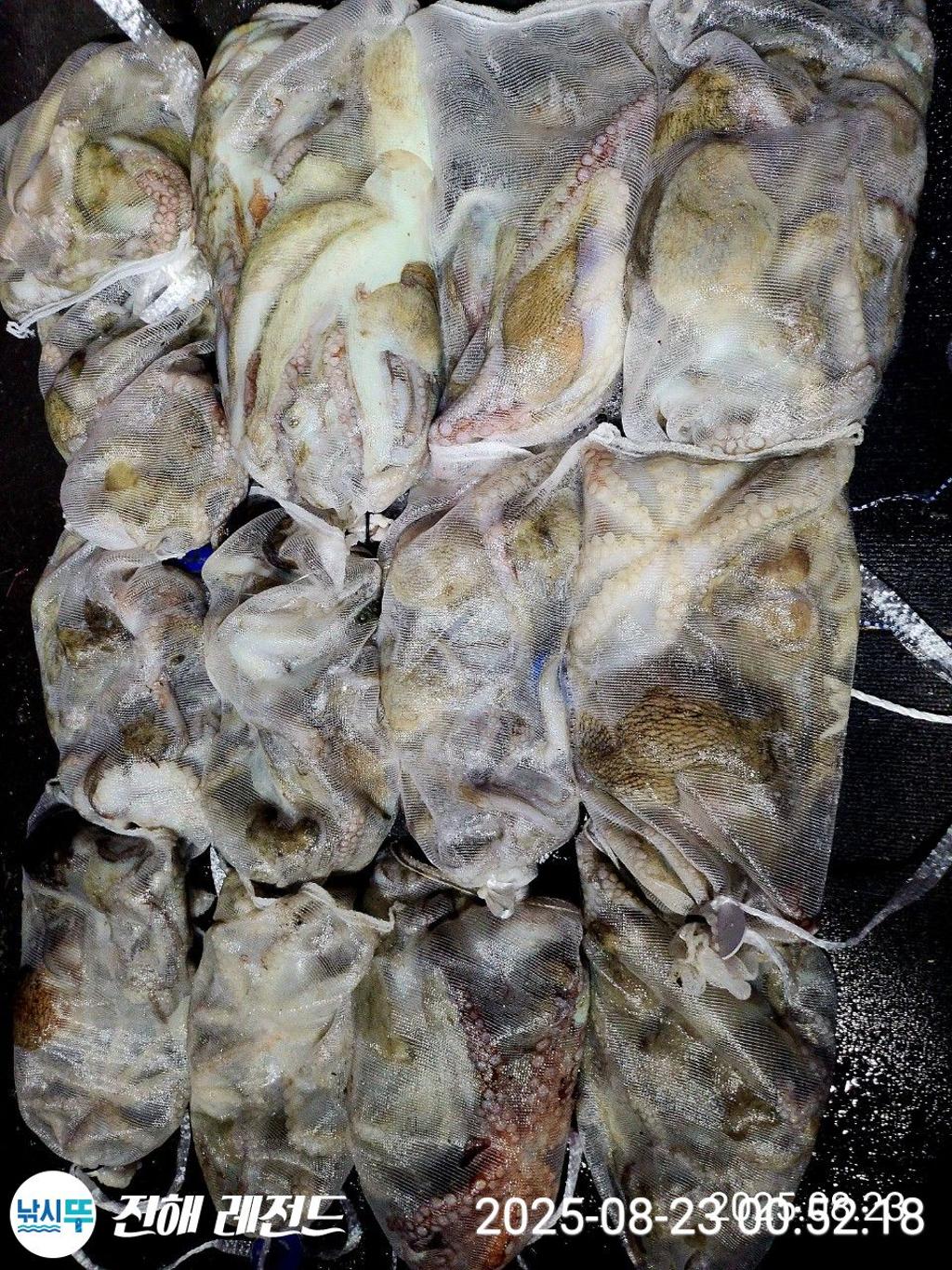 F2758004RX.jpg