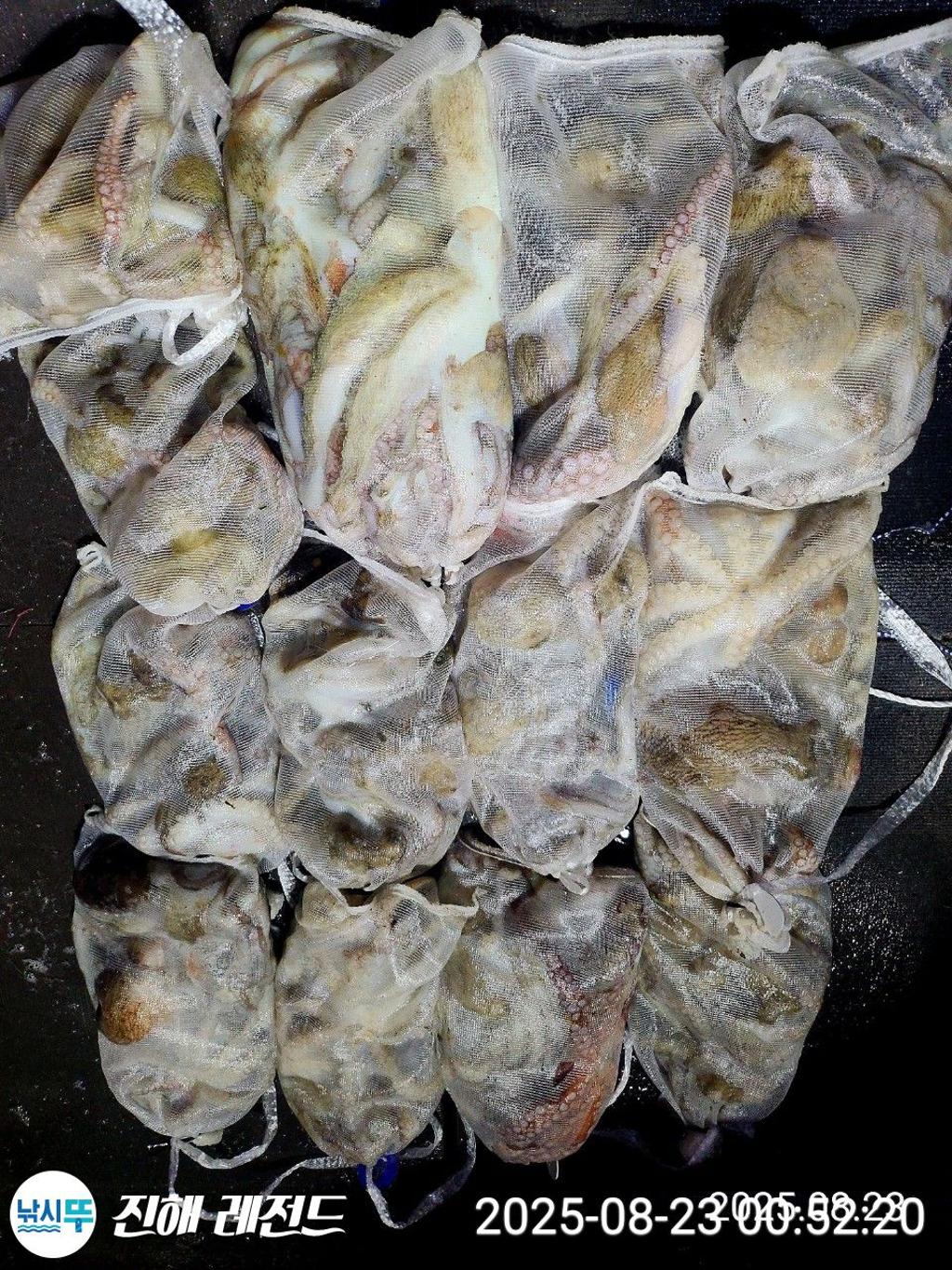 F27580099L.jpg