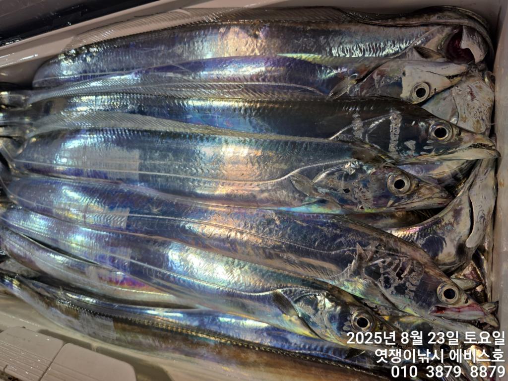 F2758041AX.jpg
