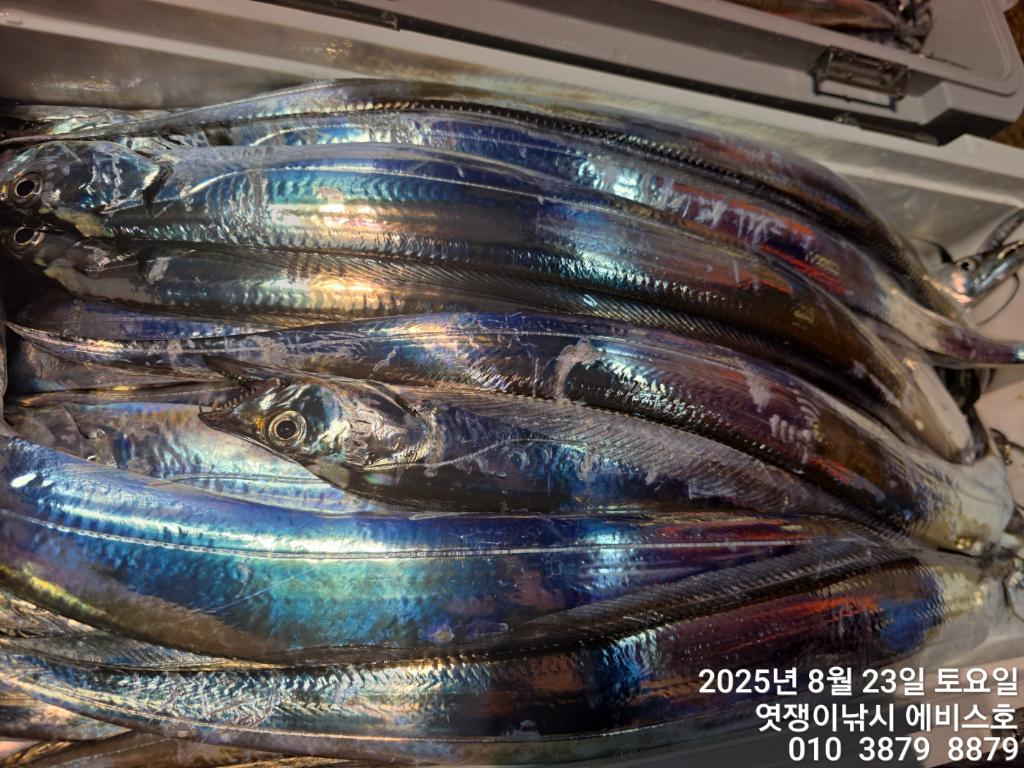 F2758042WS.jpg
