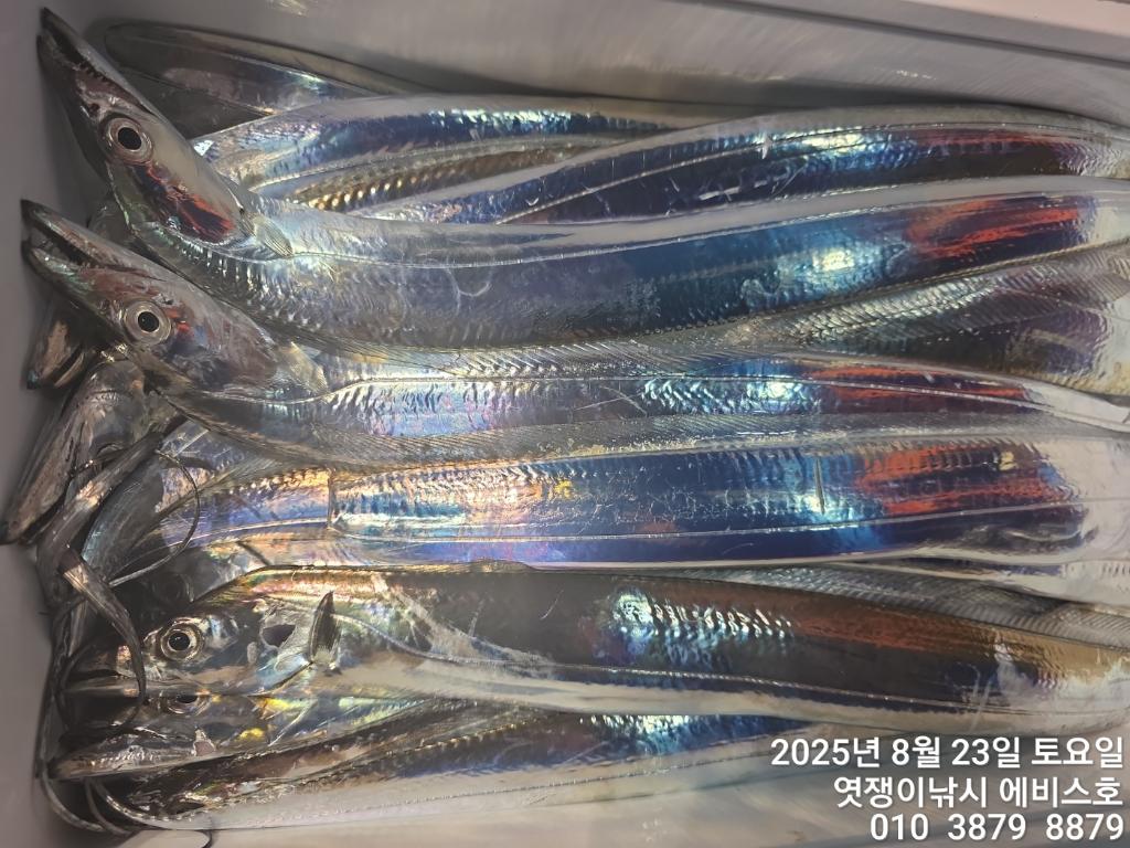 F2758044YS.jpg