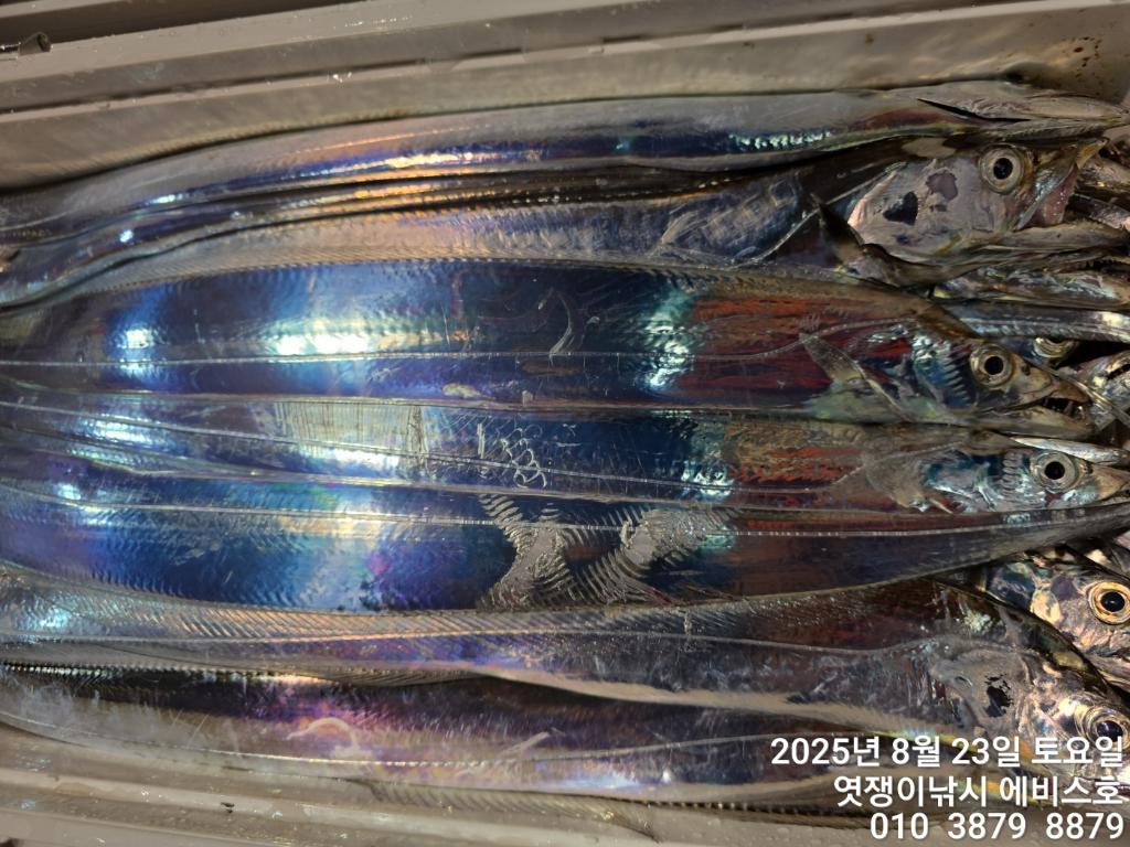 F2758049NI.jpg