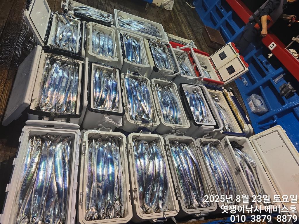 F2758055ZF.jpg