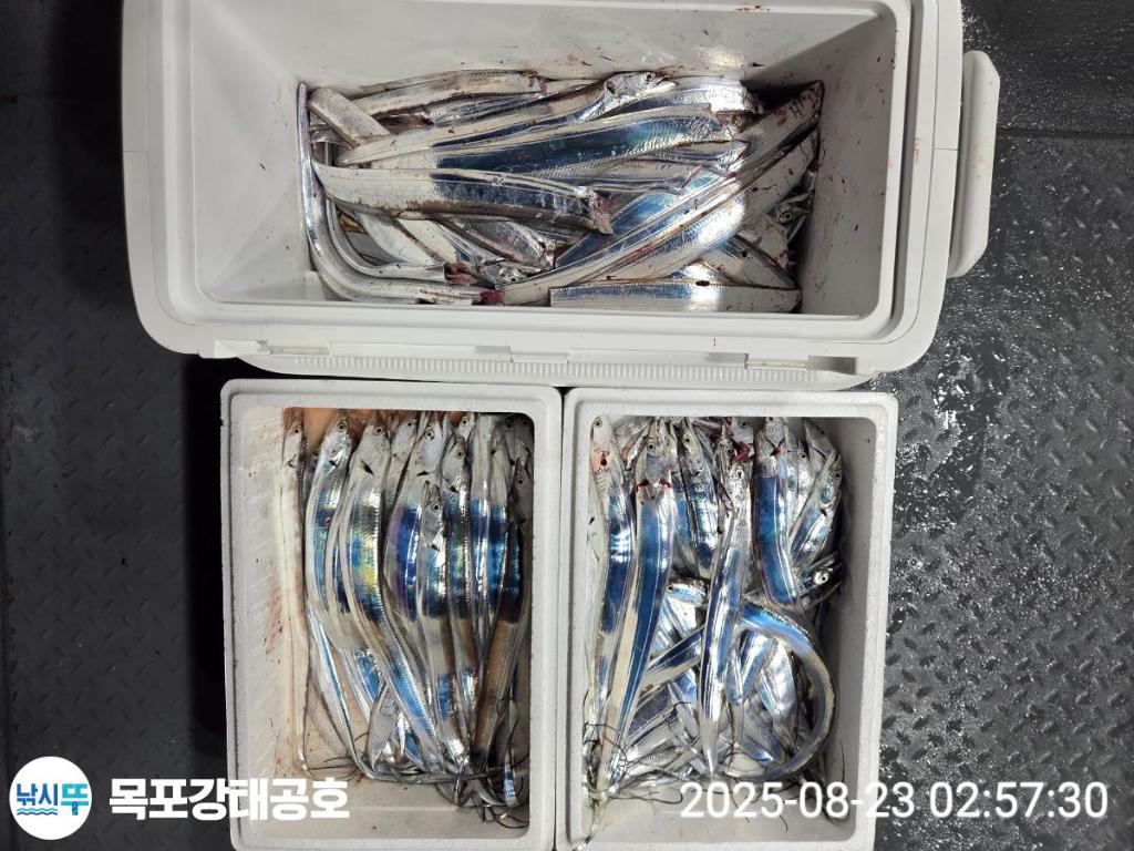 F275819889.jpg