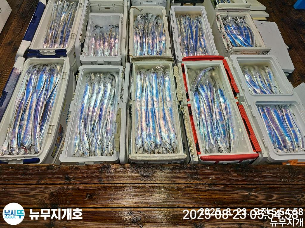 F27582963R.jpg