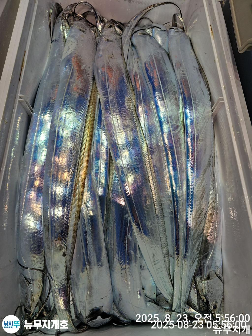 F27582976C.jpg