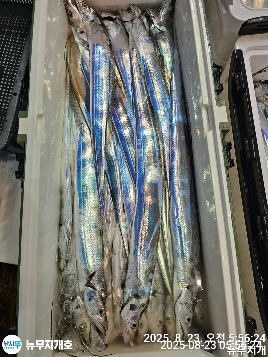 F2758300RE.jpg