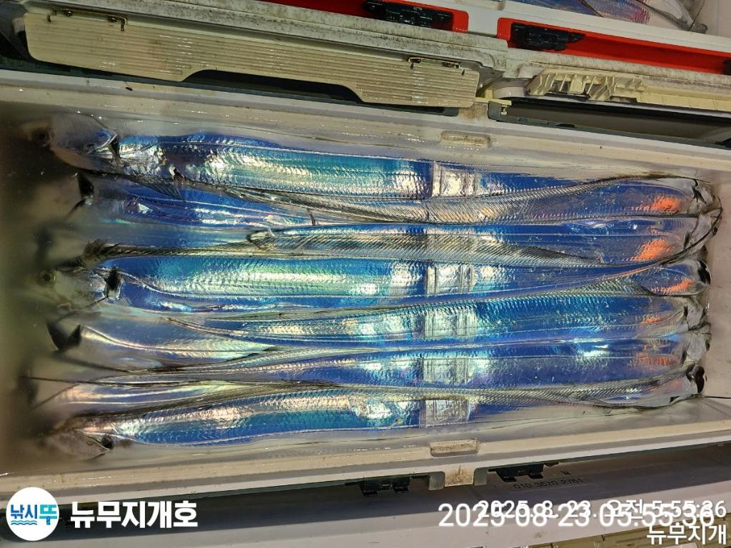 F2758303JM.jpg