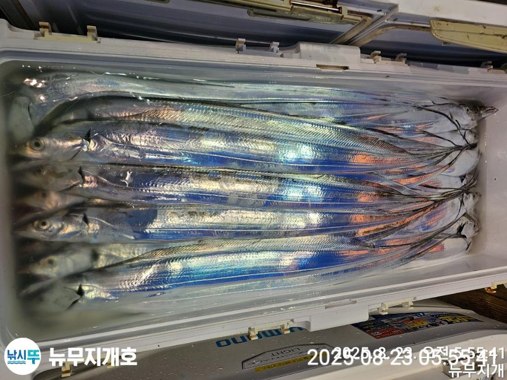 F2758304PC.jpg