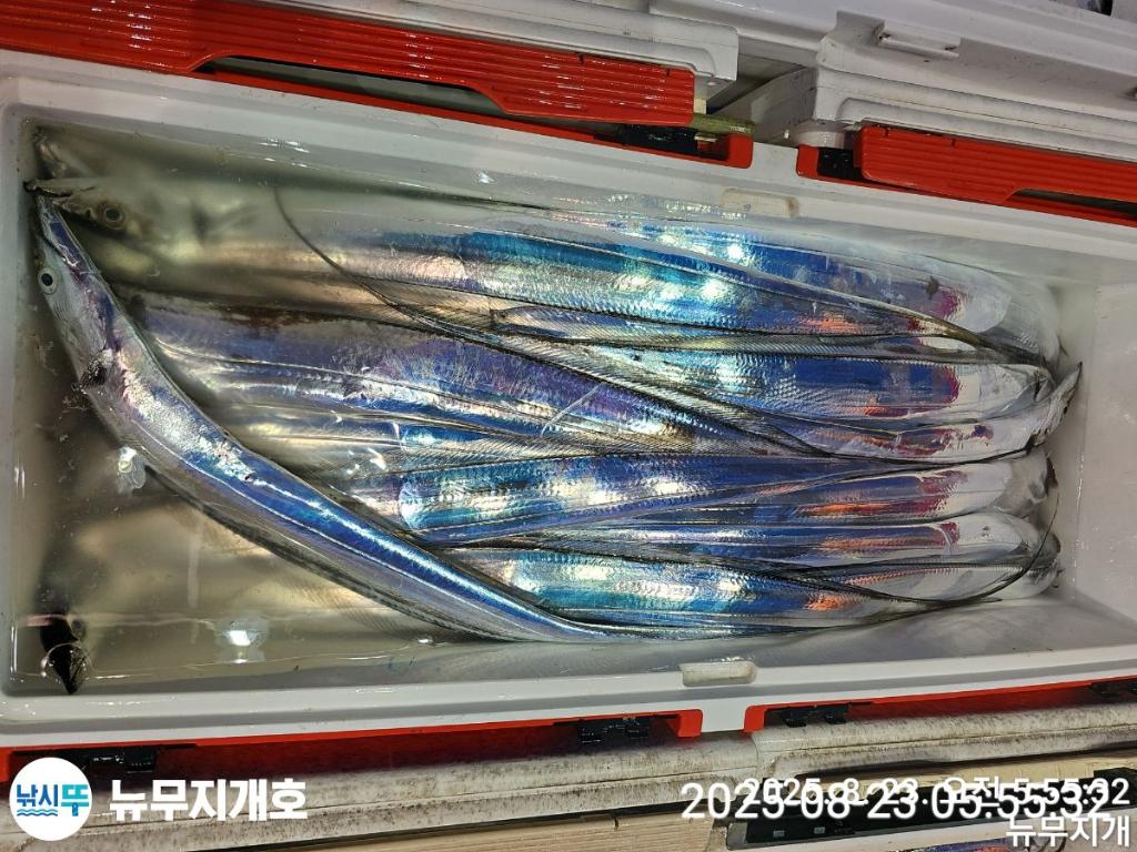 F27583059B.jpg