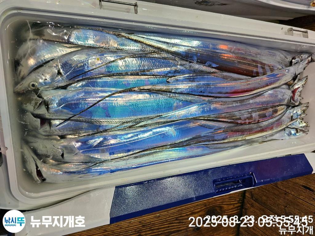 F2758306V7.jpg