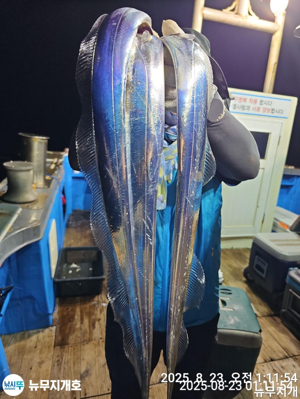 F27583088S.jpg