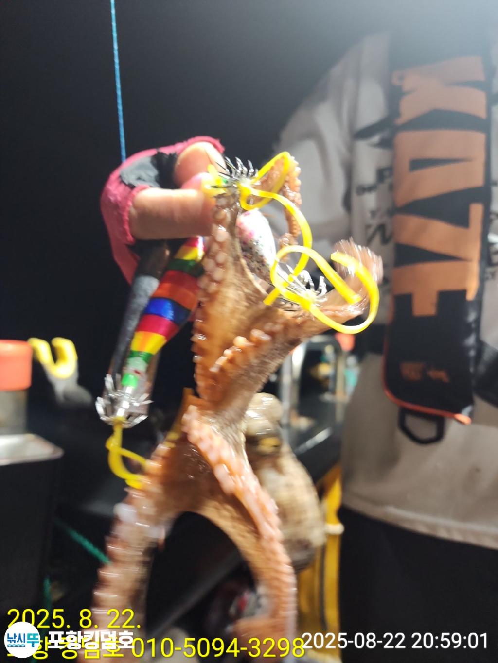F27585150E.jpg