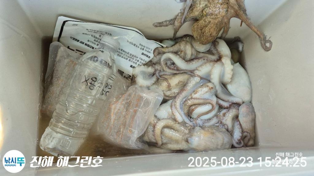 F27587061F.jpg