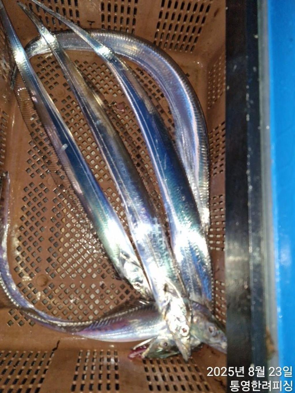 F2758895H5.jpg