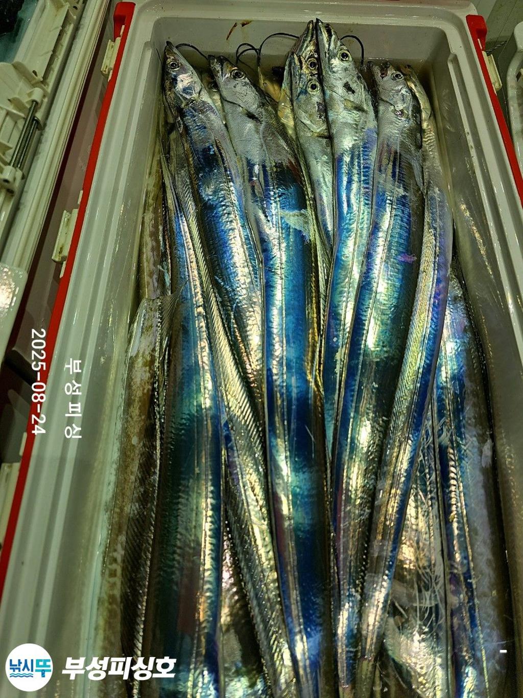 F2758996RH.jpg