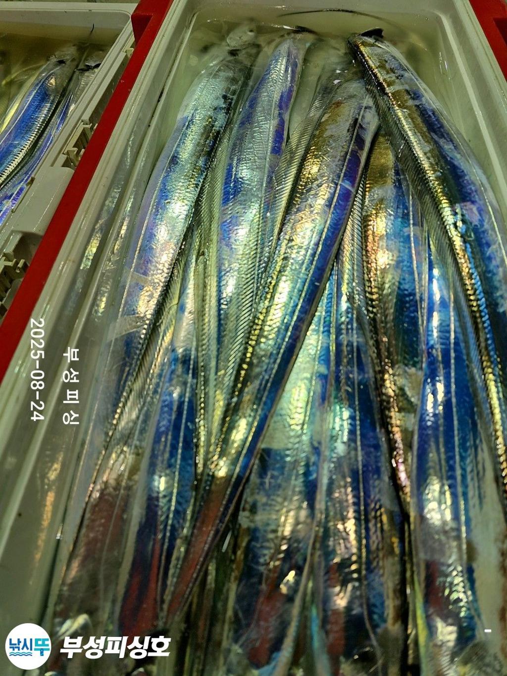 F2759000VF.jpg