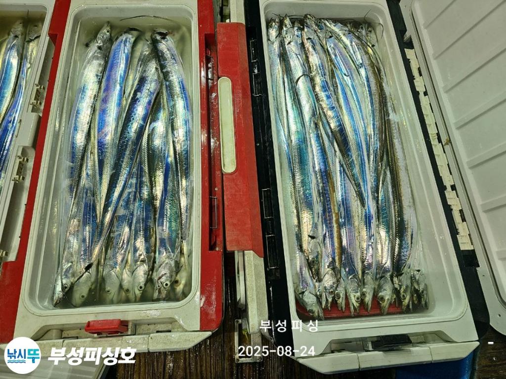 F27590022M.jpg