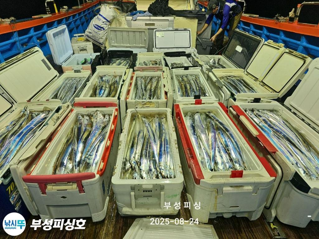 F2759008P1.jpg