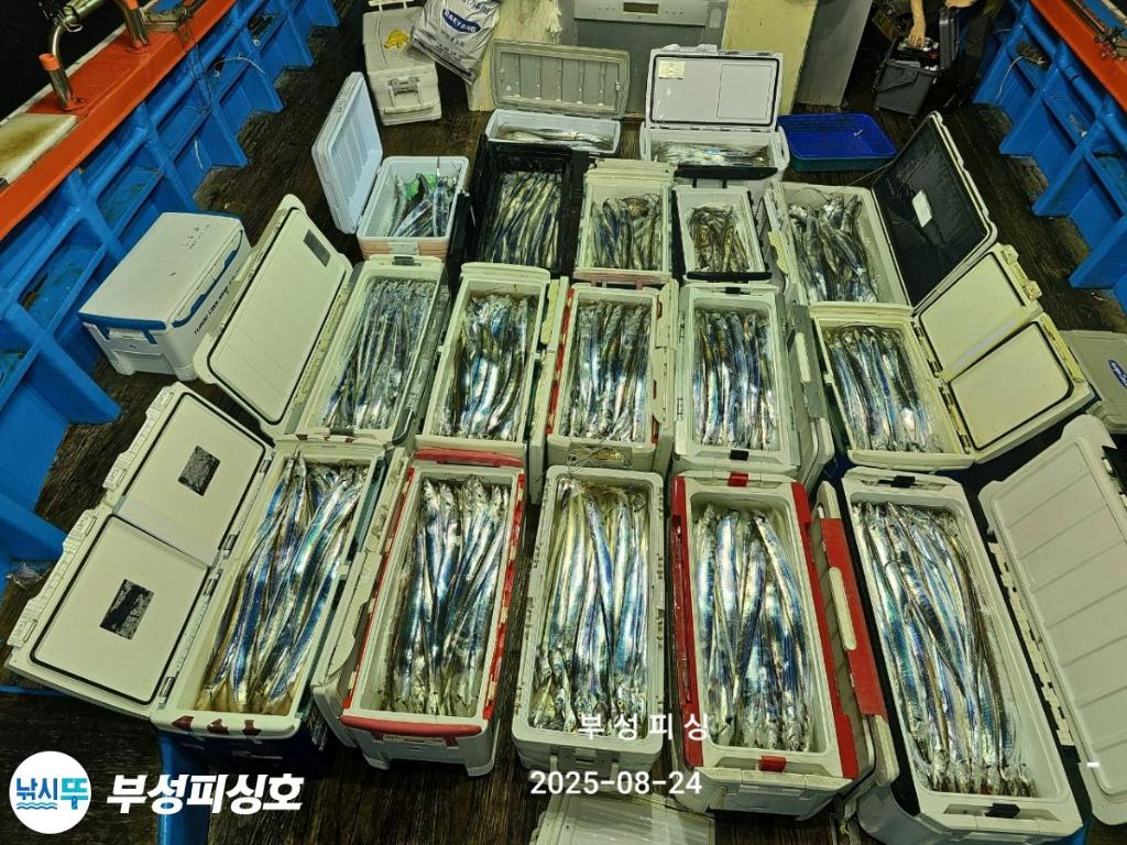 F2759009HJ.jpg