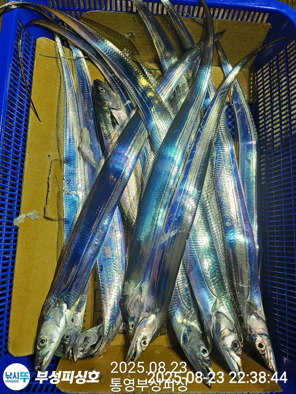 F2759010MH.jpg
