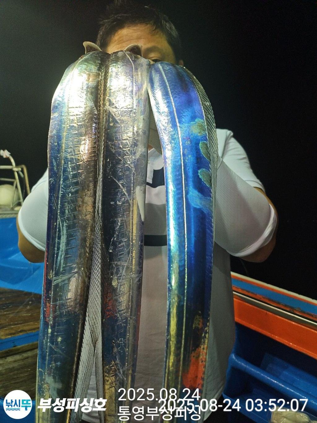 F27590215Y.jpg