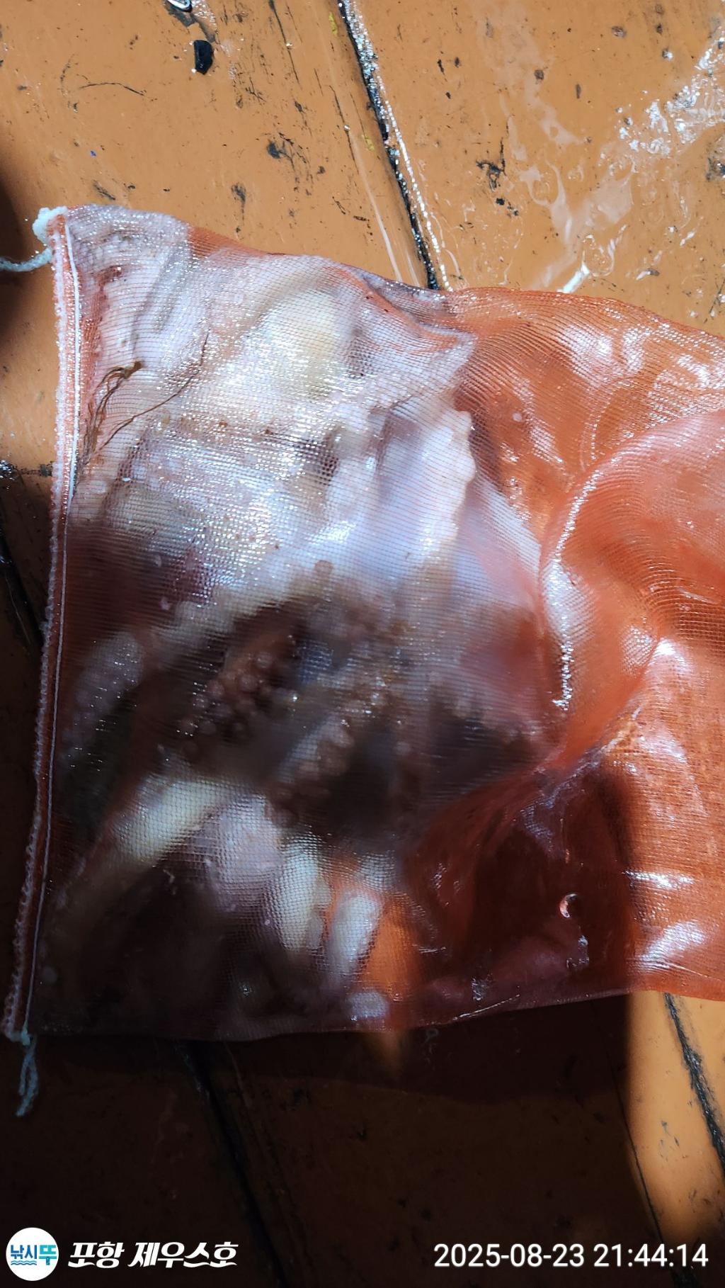 F2759071BP.jpg