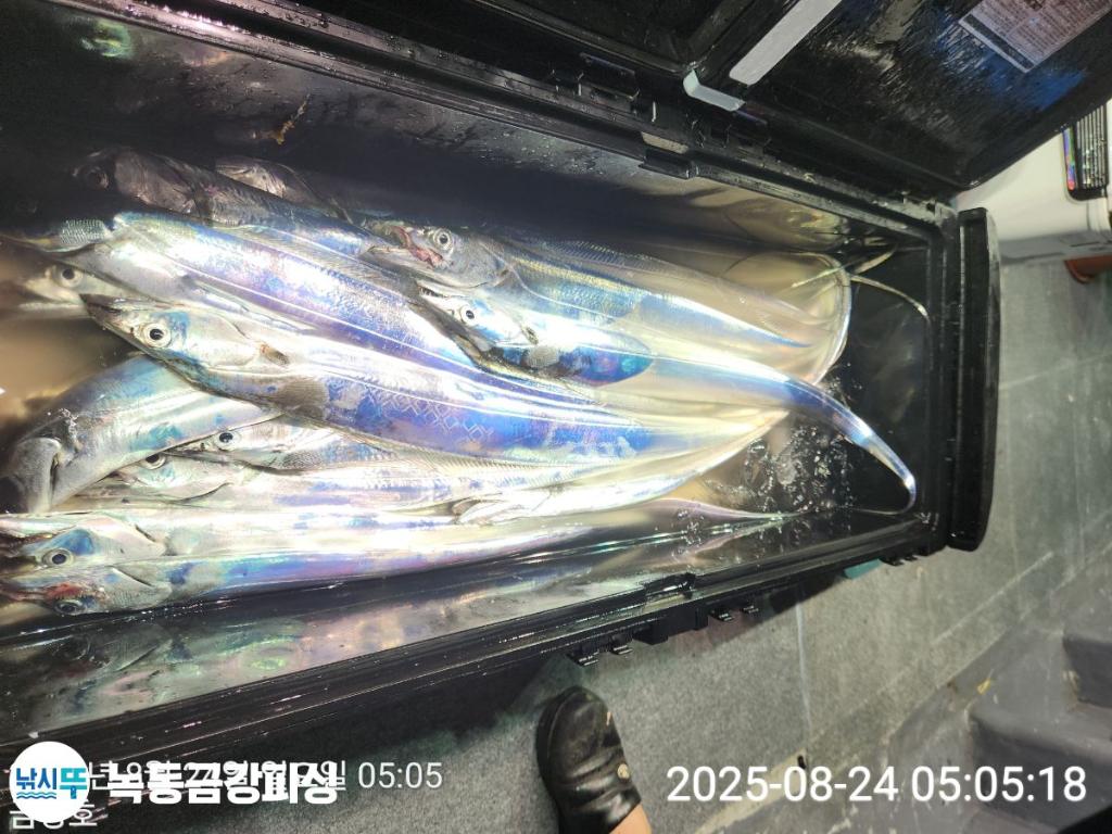 F2759283OD.jpg
