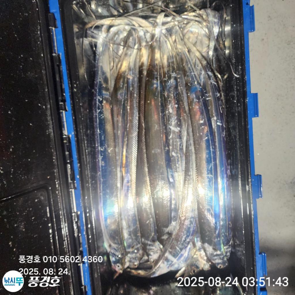 F27594171O.jpg