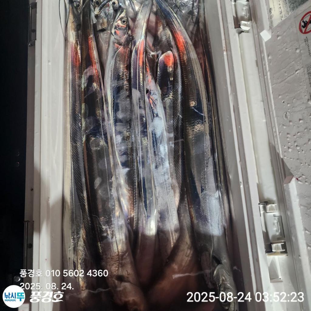 F2759420IB.jpg