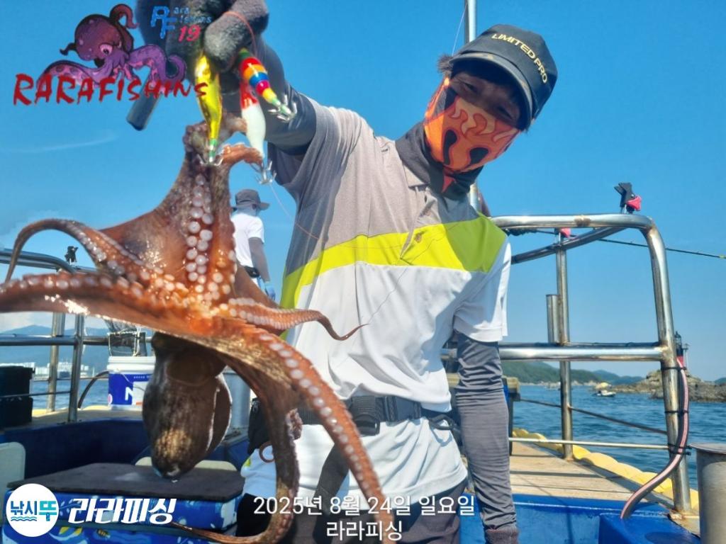 낚시뚜,돌문어,속천항(진해),라라피싱,낚시뚜1