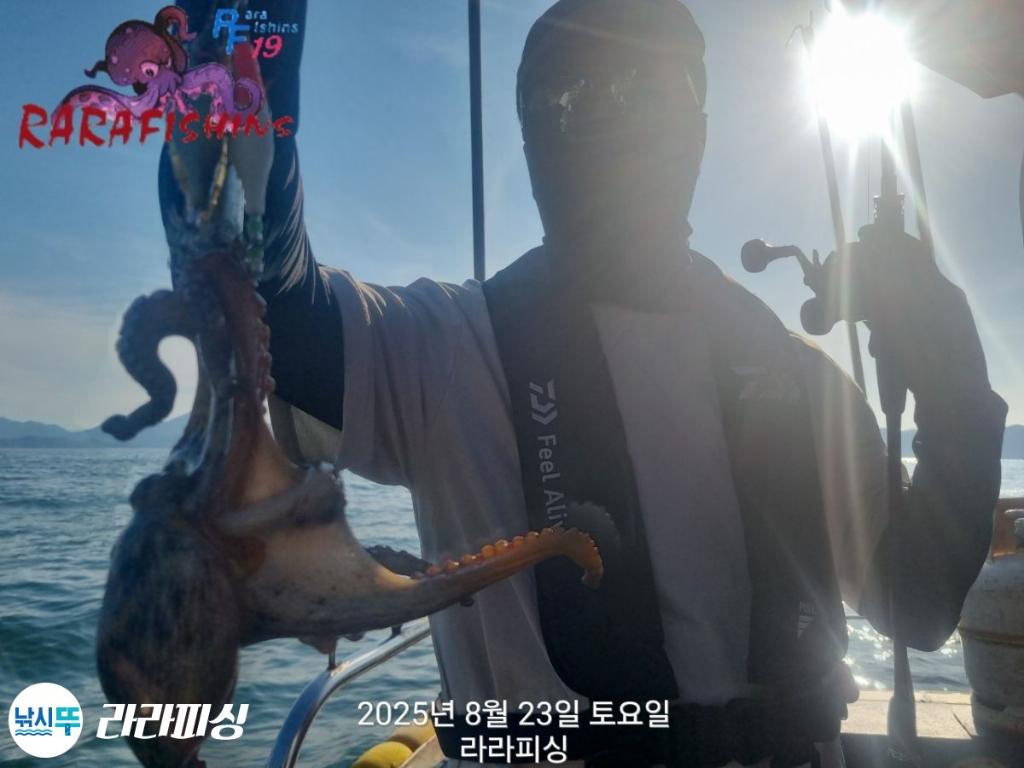 낚시뚜,돌문어,속천항(진해),라라피싱,낚시뚜9