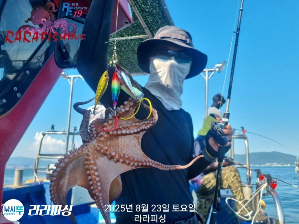 낚시뚜,돌문어,속천항(진해),라라피싱,낚시뚜8