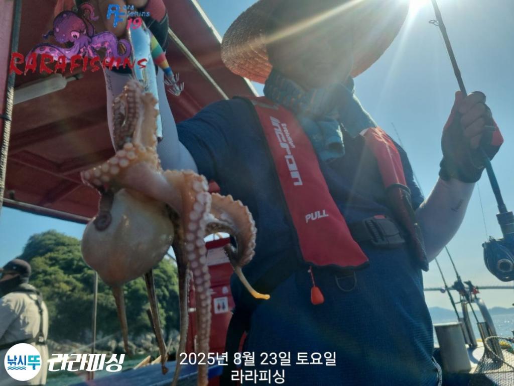 낚시뚜,돌문어,속천항(진해),라라피싱,낚시뚜6