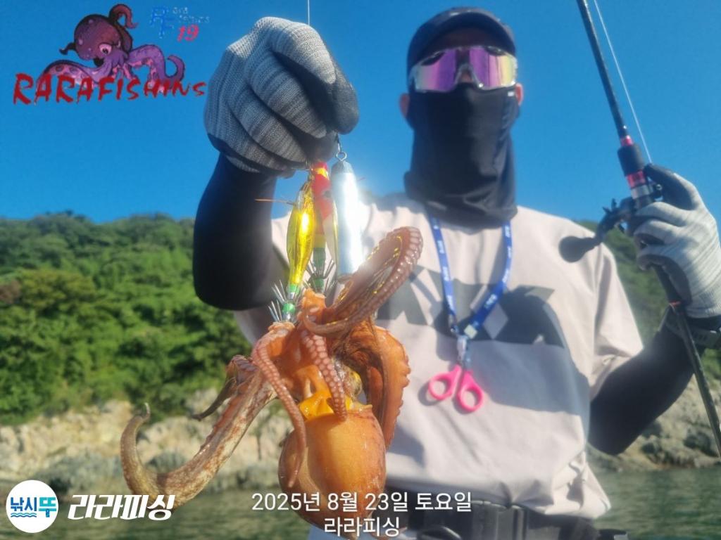 낚시뚜,돌문어,속천항(진해),라라피싱,낚시뚜3