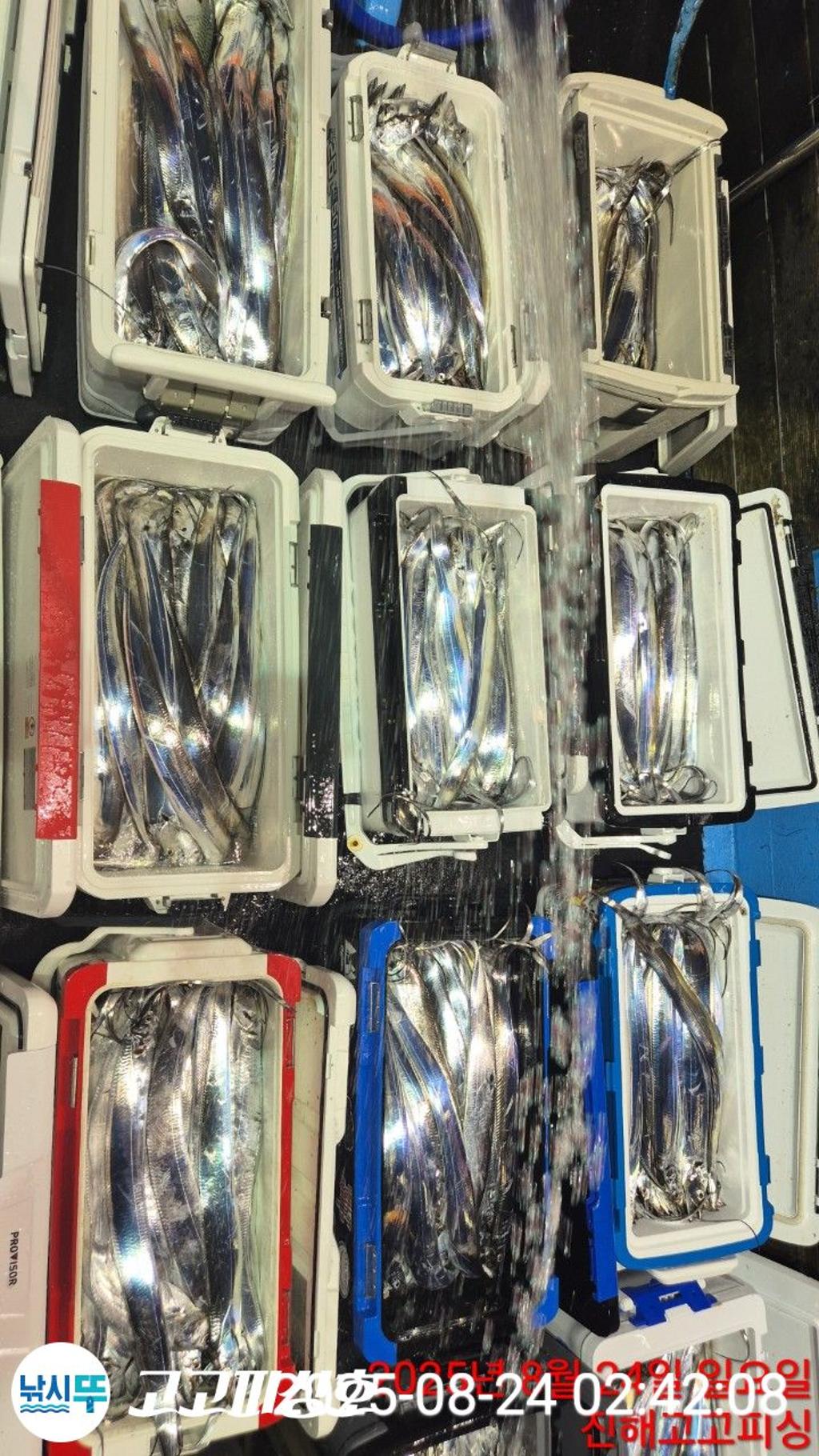 F2759244DN.jpg