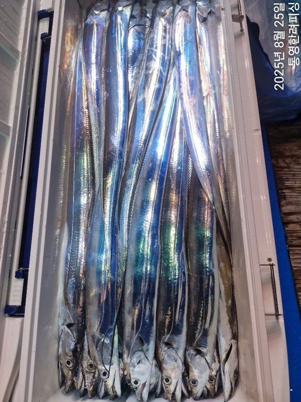 F2759905DZ.jpg