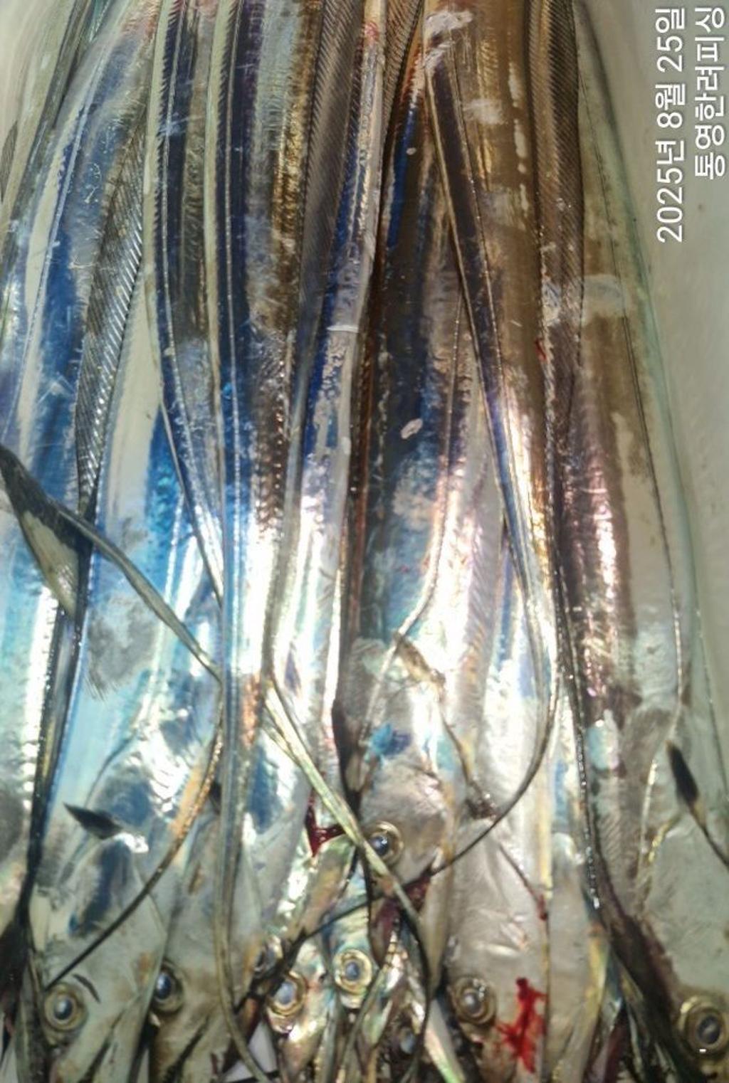 F2759908SS.jpg