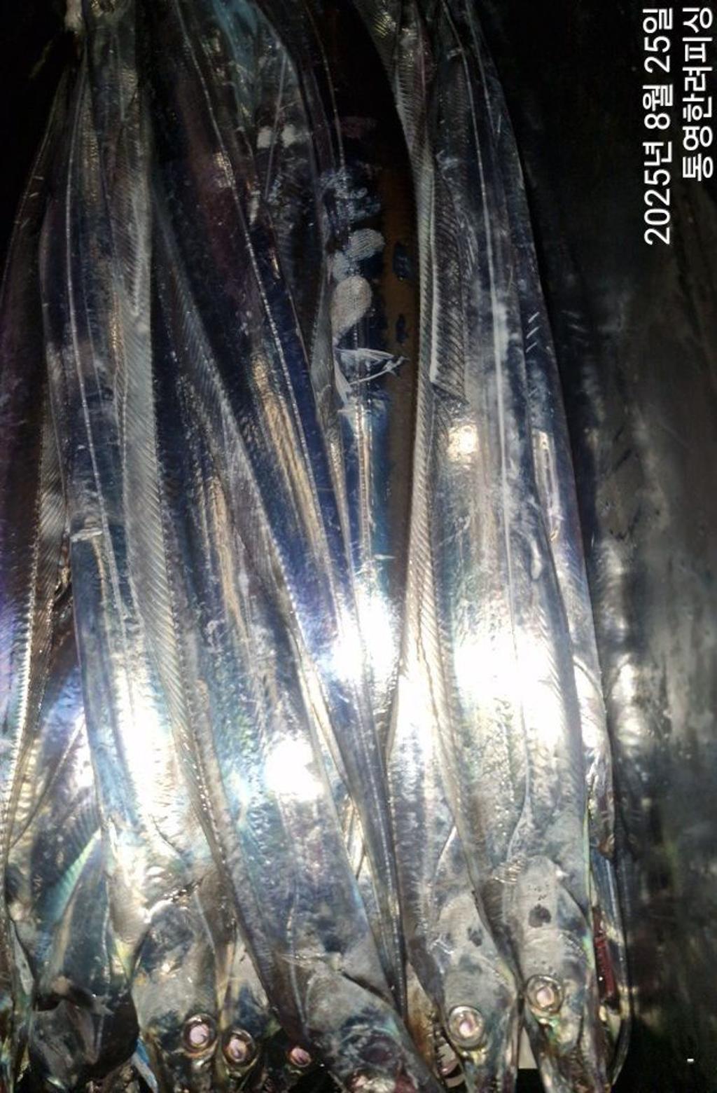 F2759910H6.jpg