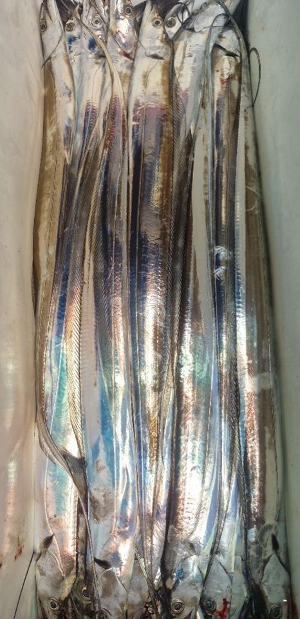 F27599157M.jpg
