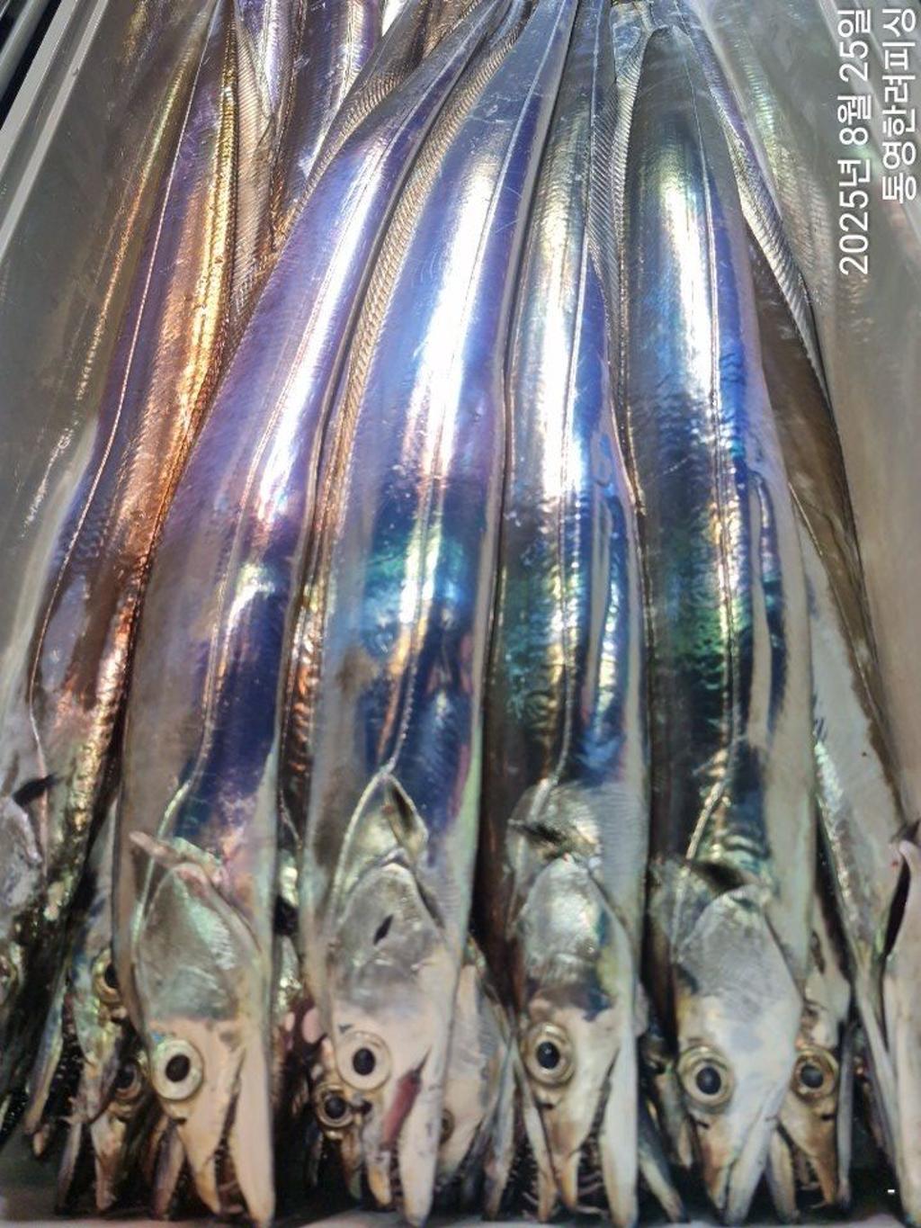 F27599160L.jpg