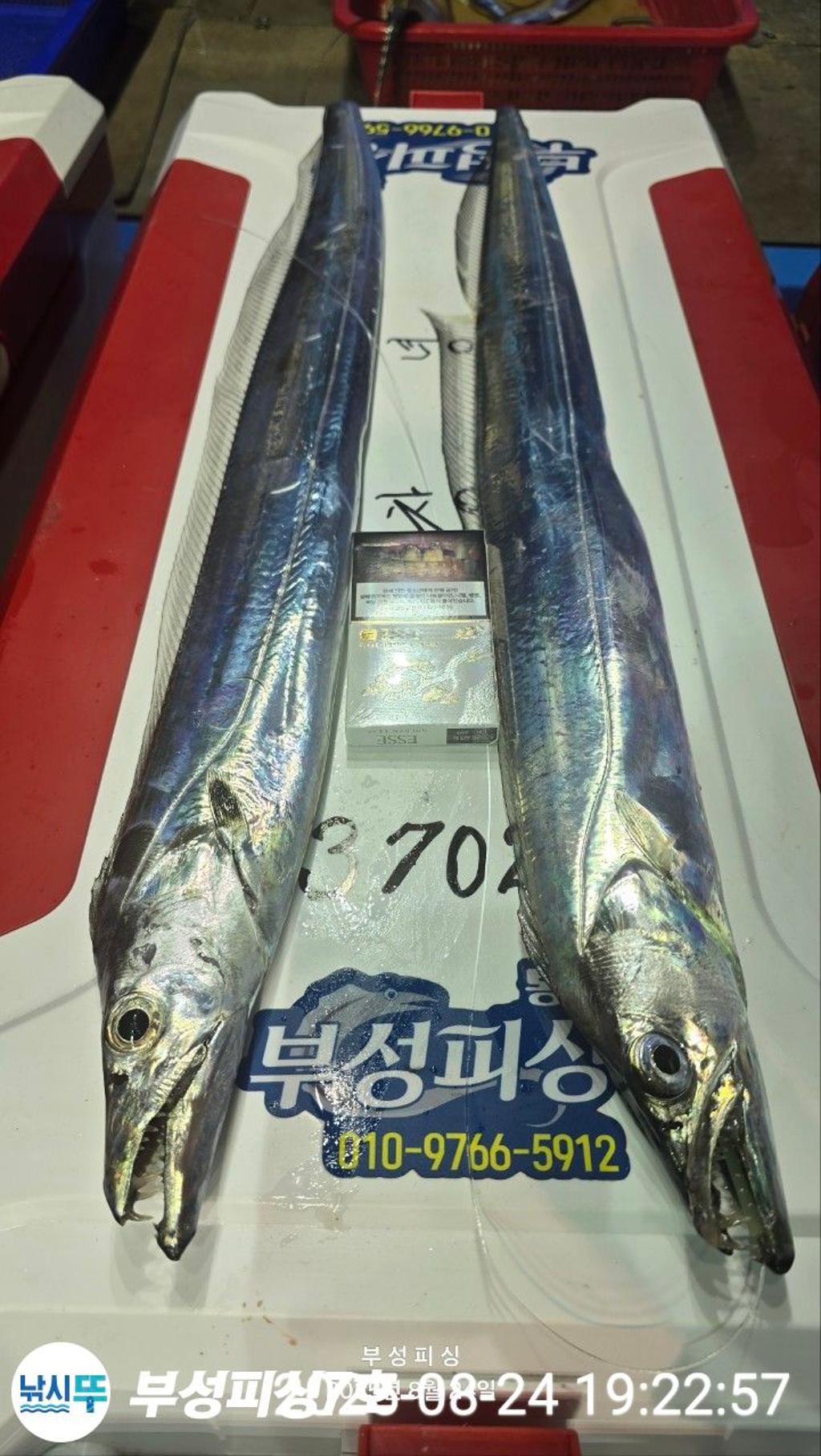 F27600699H.jpg