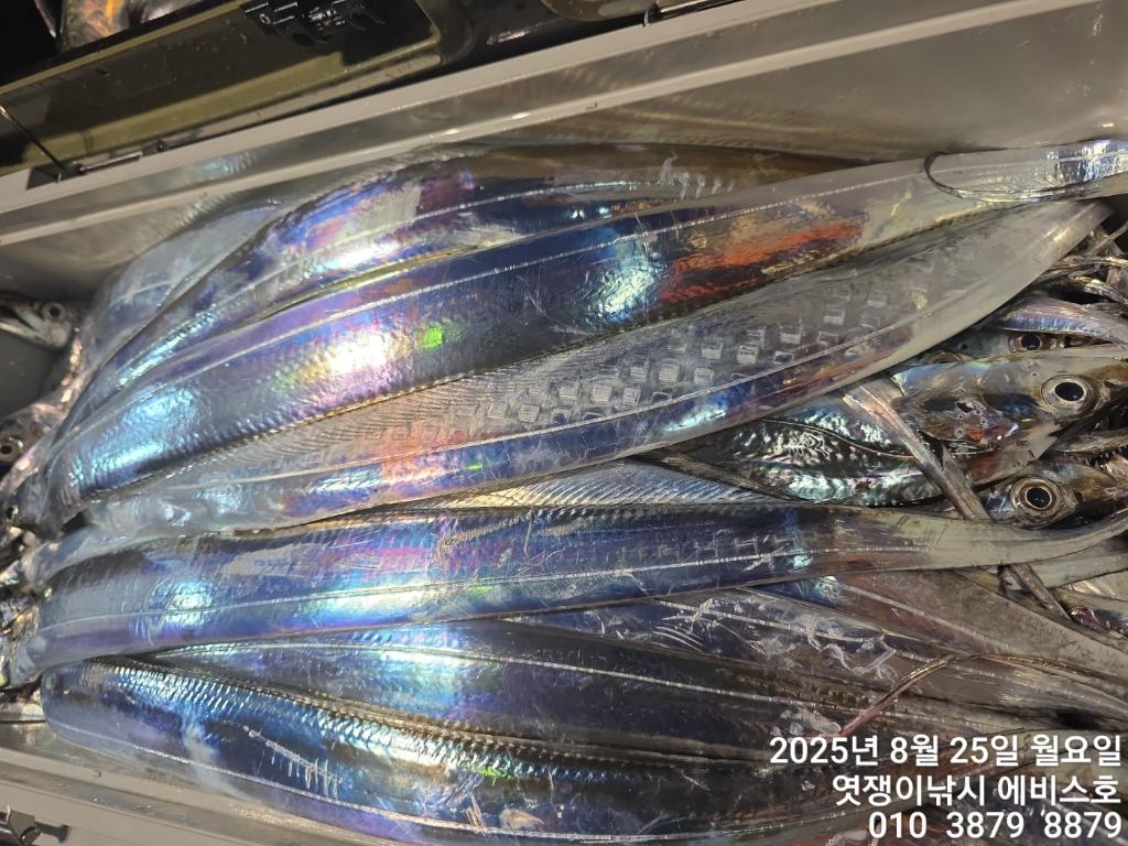 F2760347WR.jpg